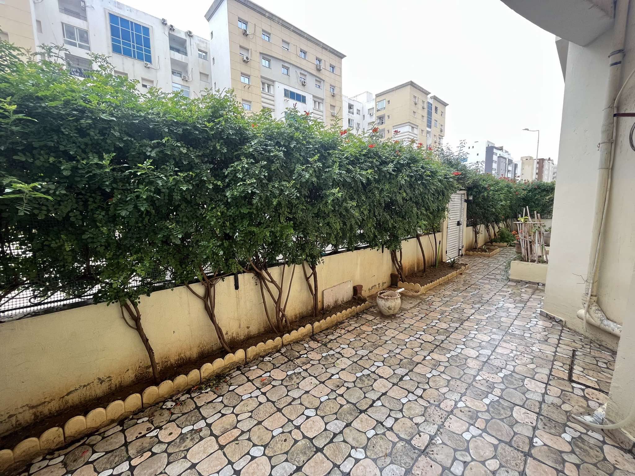 472460900_2905203099643570_8920216651978427910_n