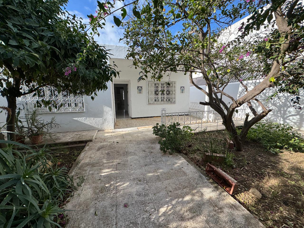 WhatsApp Image 2026-02-10 at 15.01.43