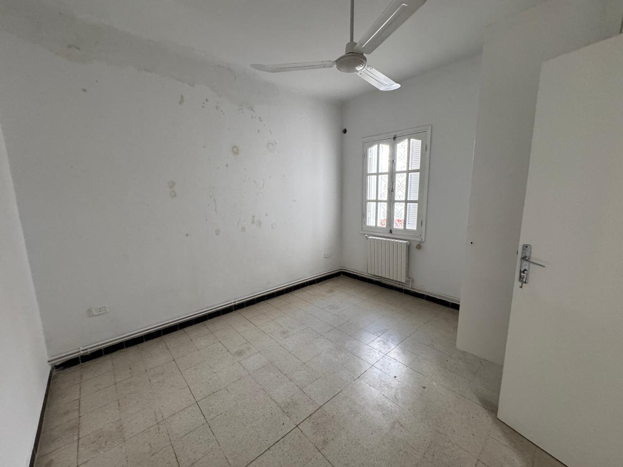 WhatsApp Image 2026-02-10 at 15.01.44 (1)