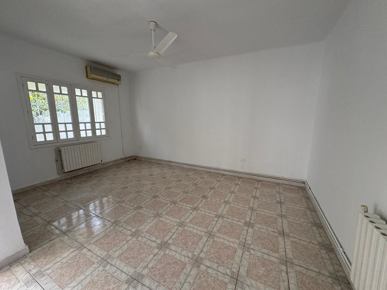 WhatsApp Image 2026-02-10 at 15.01.46