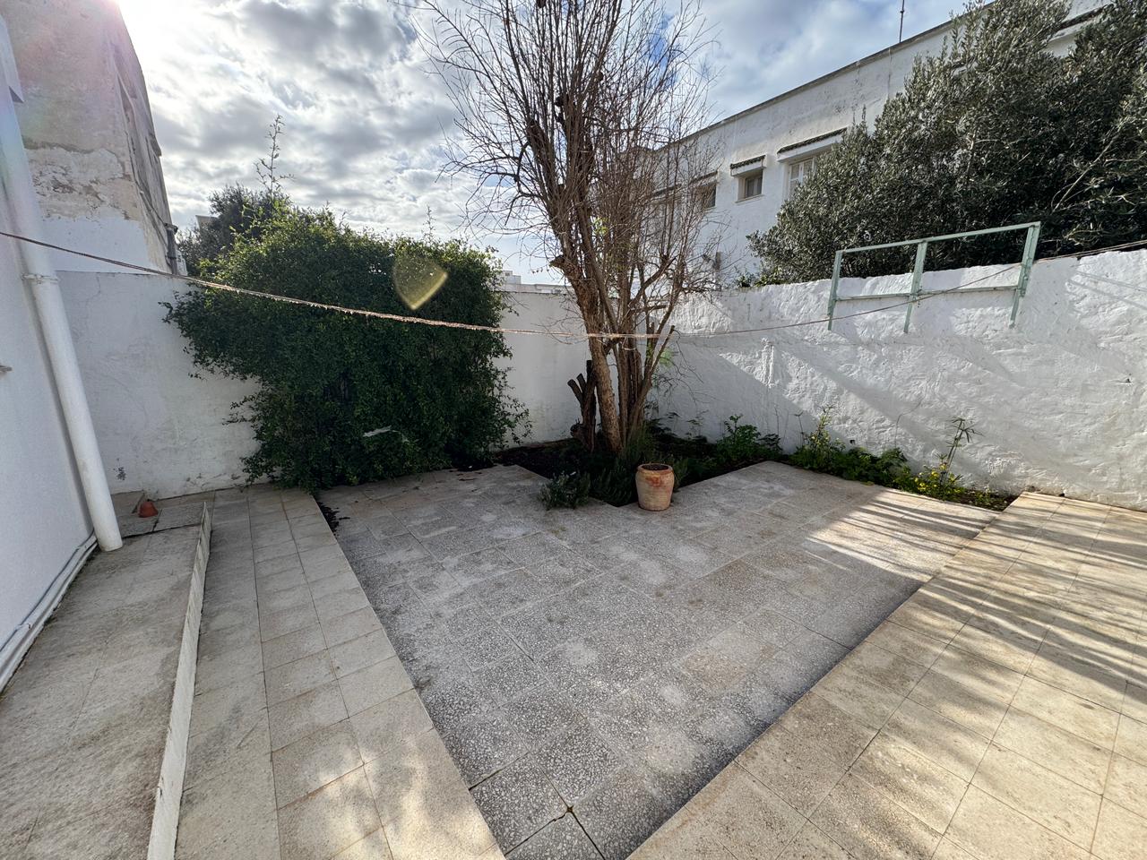 WhatsApp Image 2026-02-10 at 15.40.00 (2)