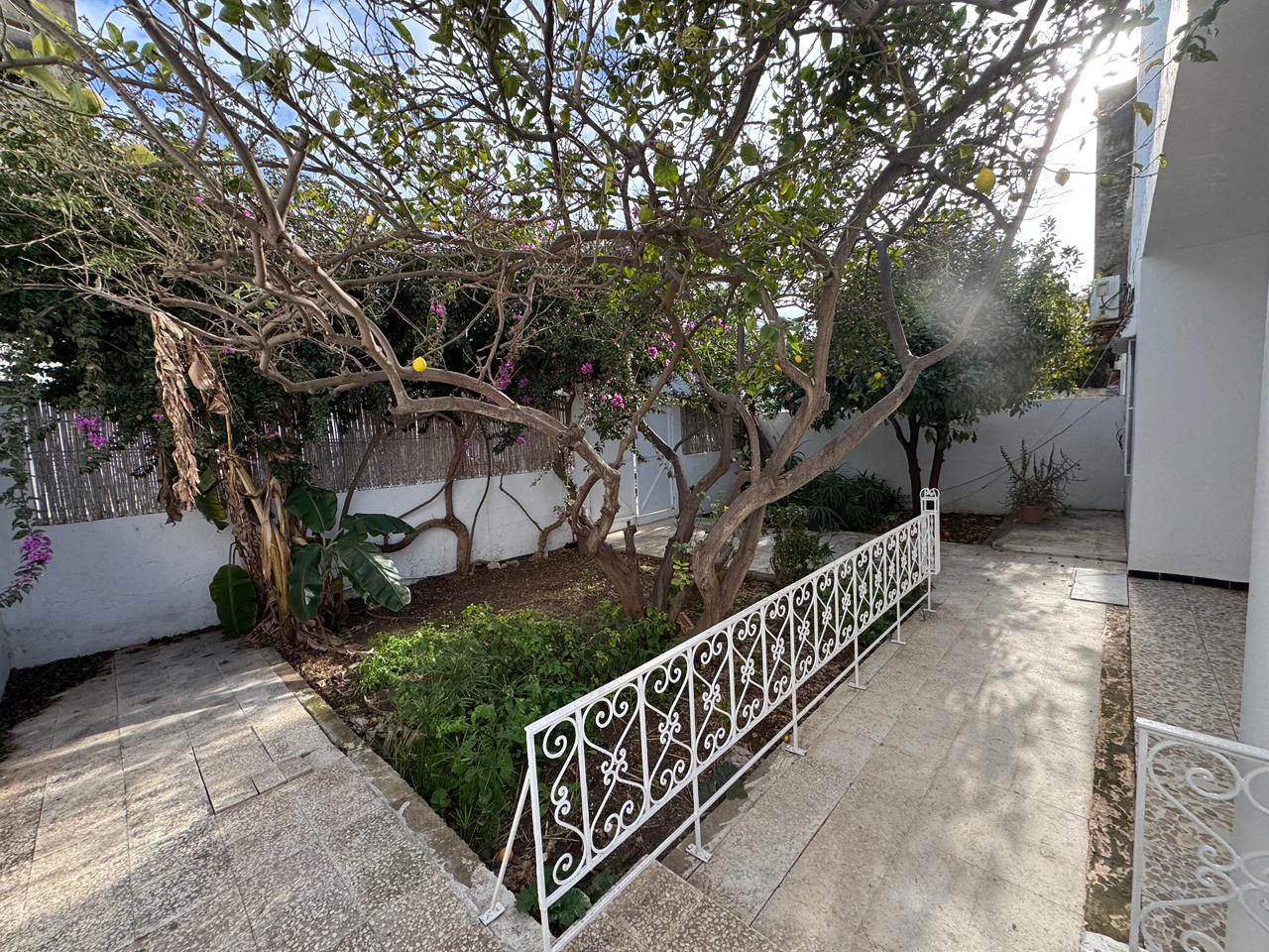 WhatsApp Image 2026-02-10 at 15.40.00