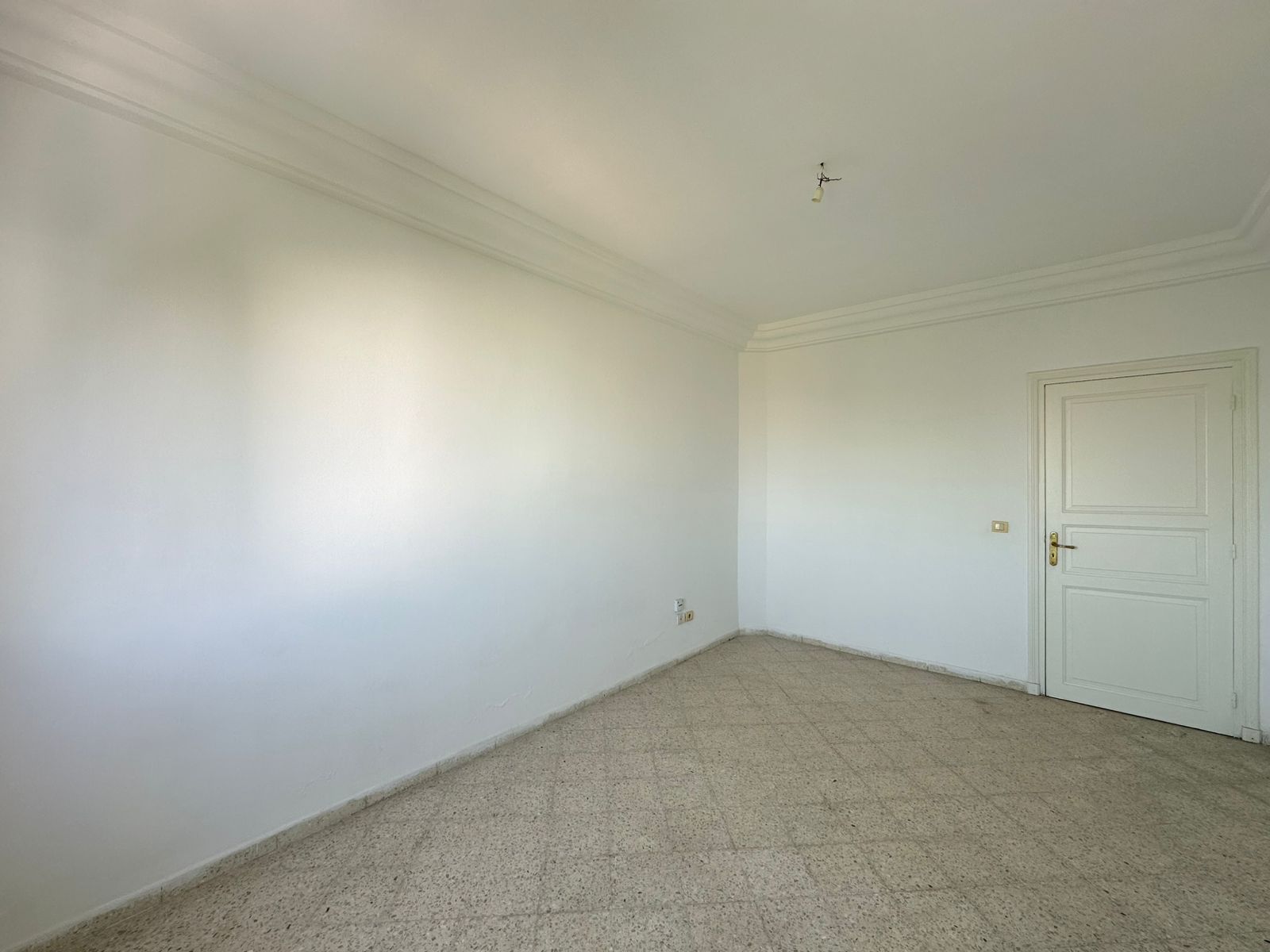 WhatsApp20Image202025-09-0320at2012.51.02