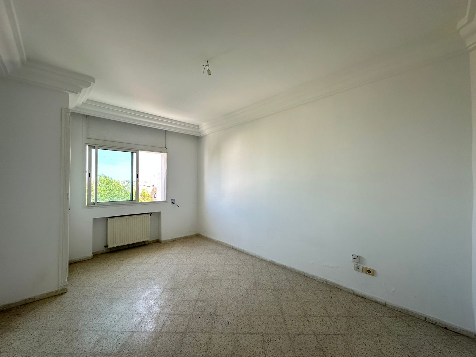 WhatsApp20Image202025-09-0320at2012.51.022028129