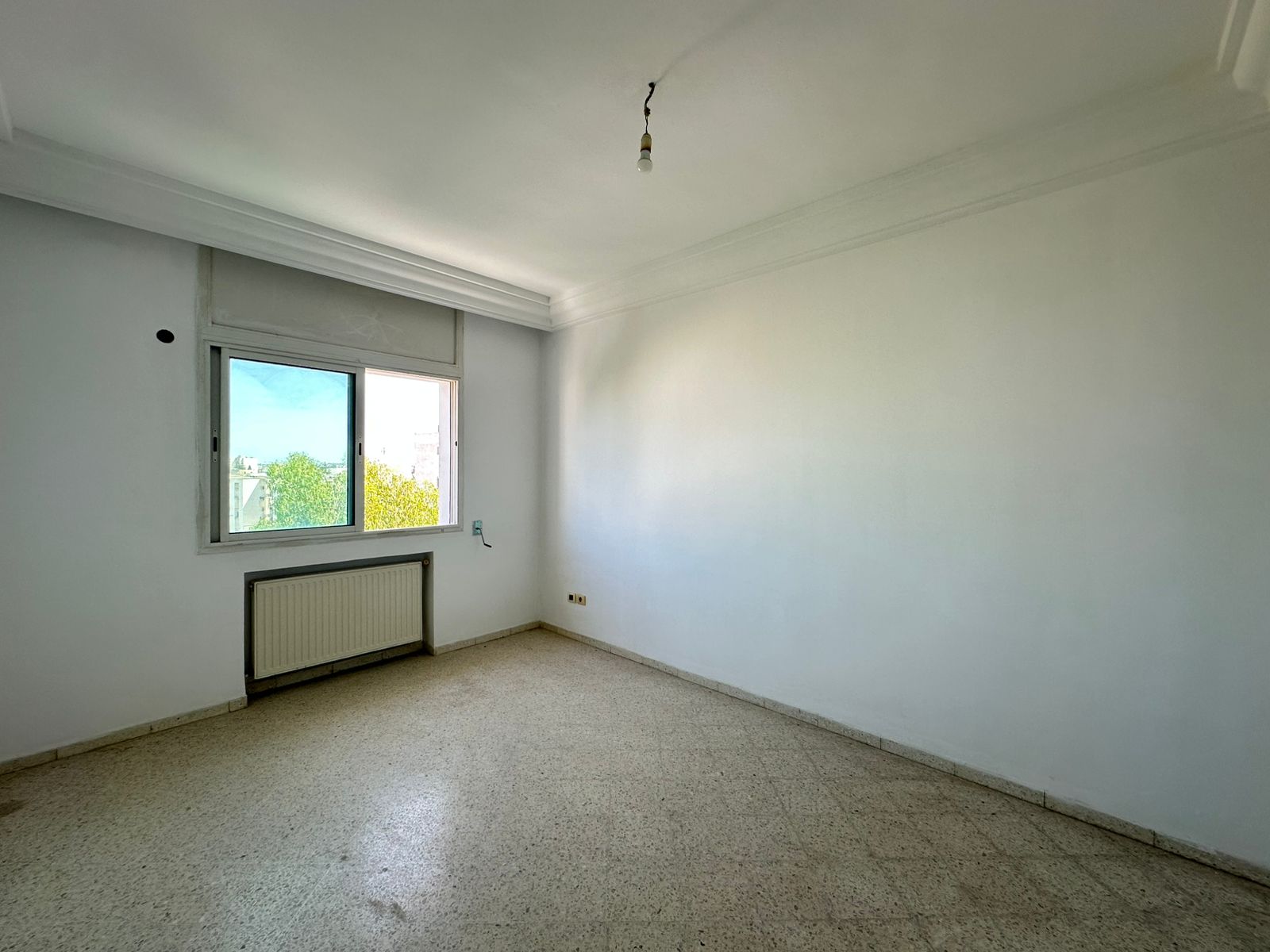 WhatsApp20Image202025-09-0320at2012.51.03