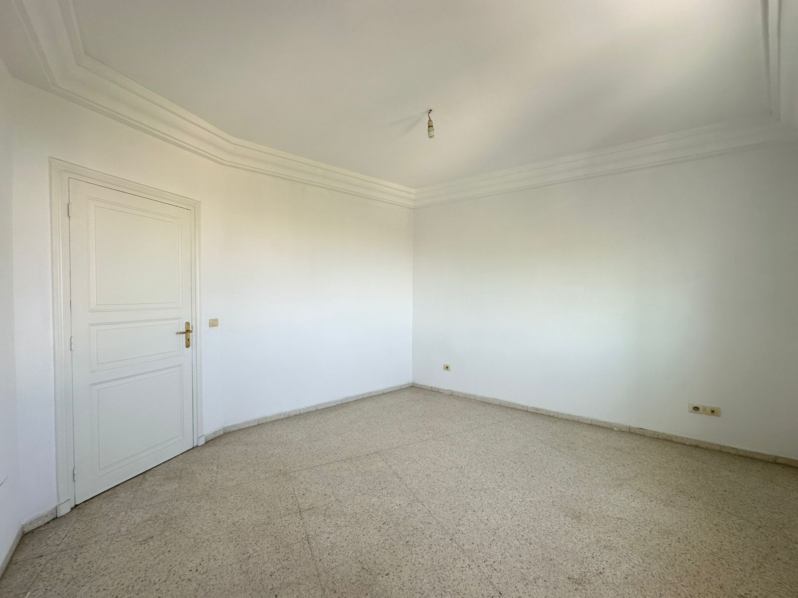 WhatsApp20Image202025-09-0320at2012.51.032028129