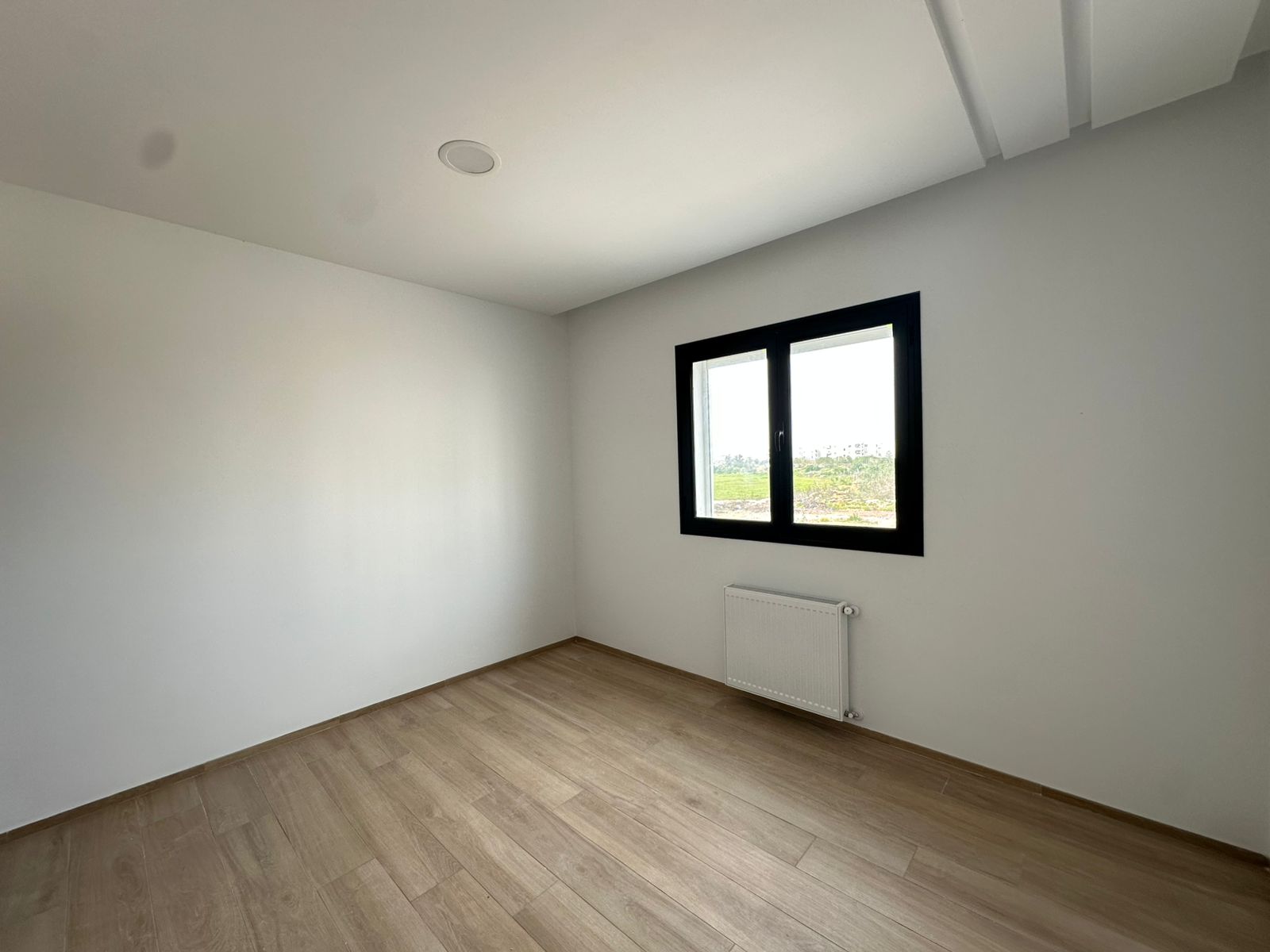 WhatsApp20Image202026-03-1020at2014.47.392028429