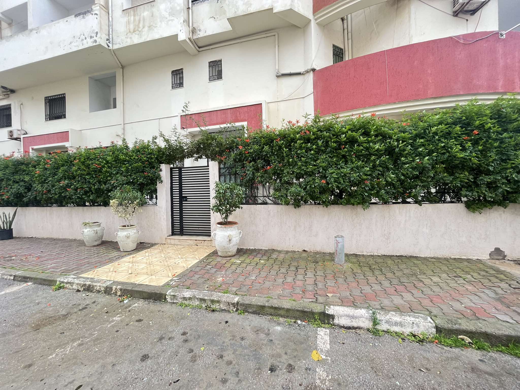 473156617_1057395582810456_7951739027229319742_n