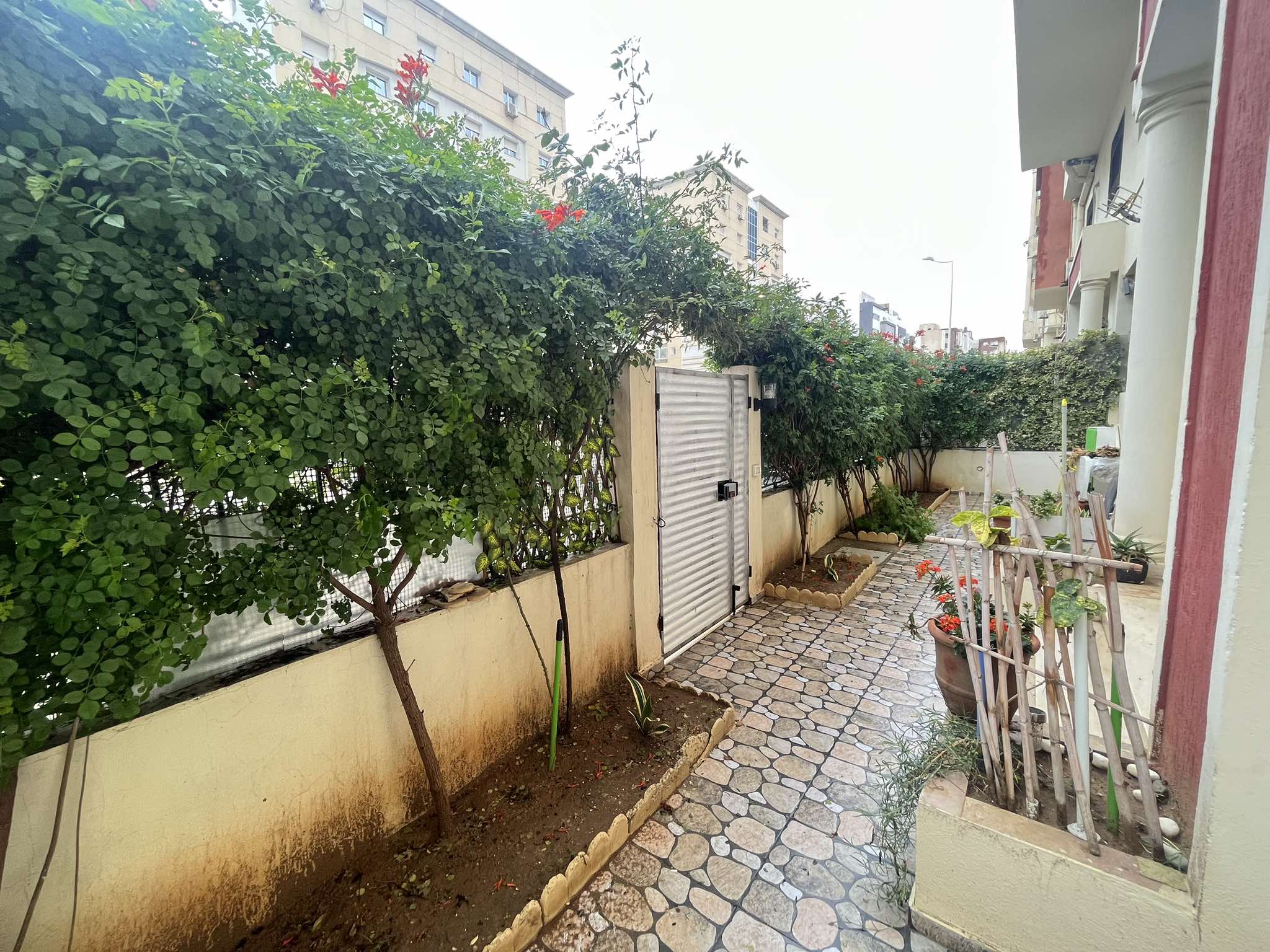 473373355_1931839030642422_5061854983389951822_n