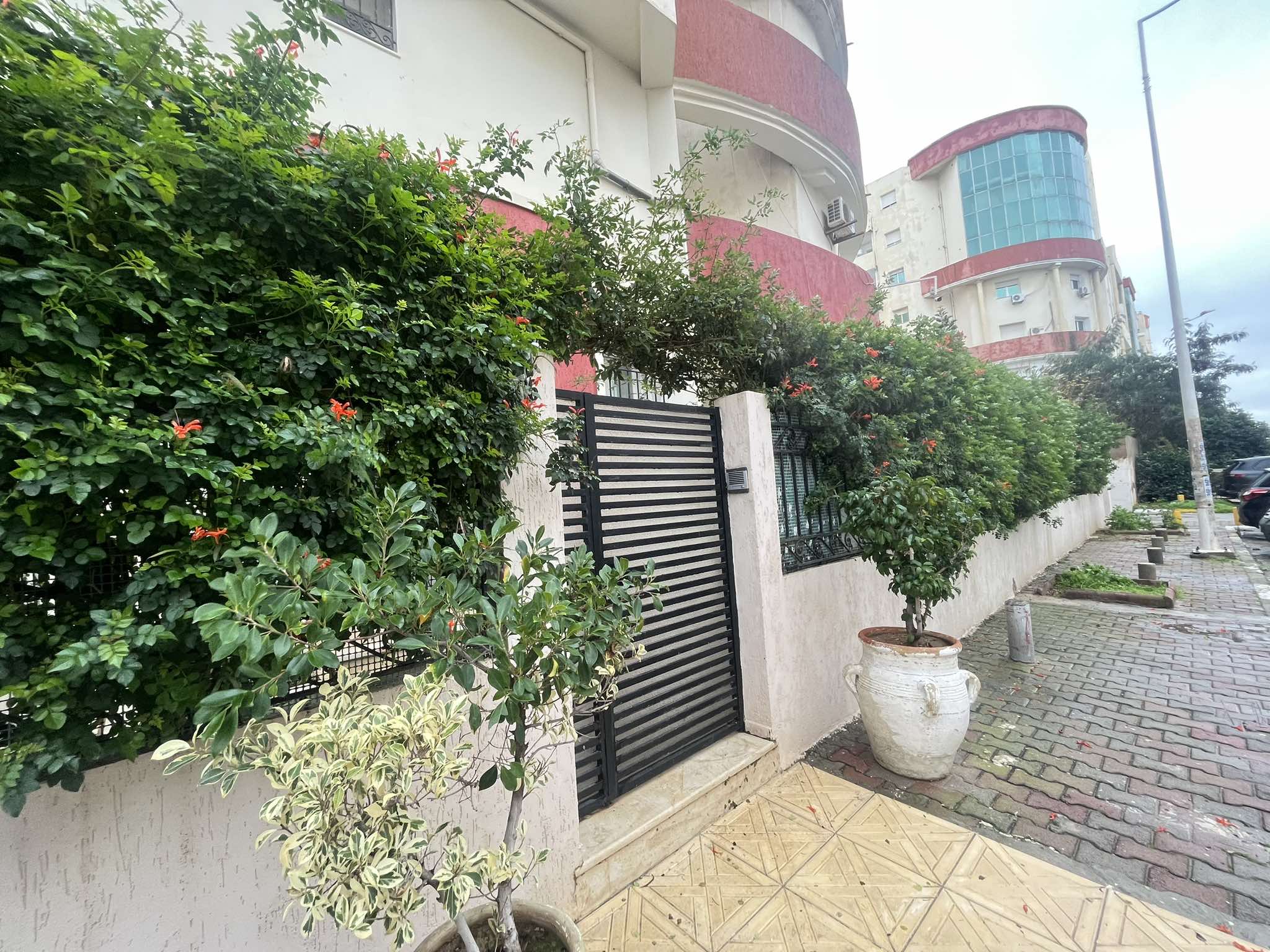 473665713_1854420581979723_4031590303614310479_n